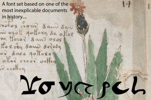 Voynich - Regular: A Font for Bold Visual Impact