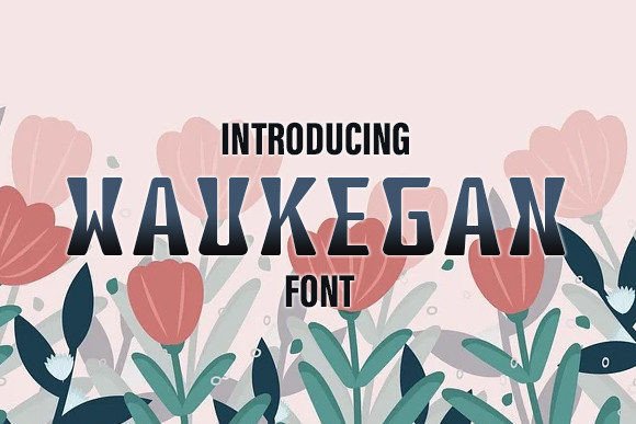 Waukegan: A Display Font with Character